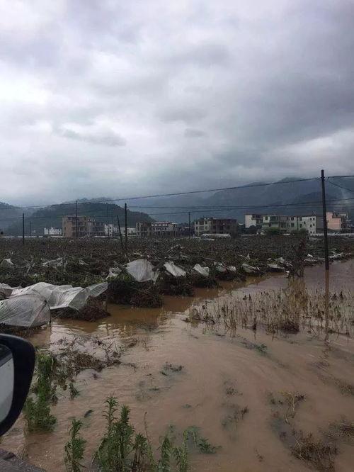 桂林涨水爆料视频最新,视频记录惊心动魄现场